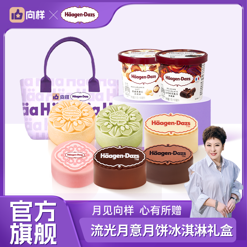 向样哈根达斯冰淇淋礼盒B (482g)